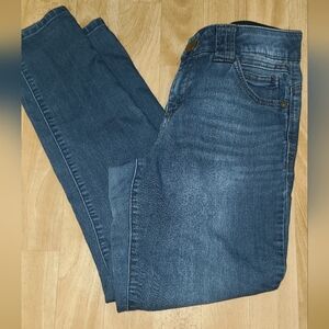Democracy Indigo Skinny Jeans